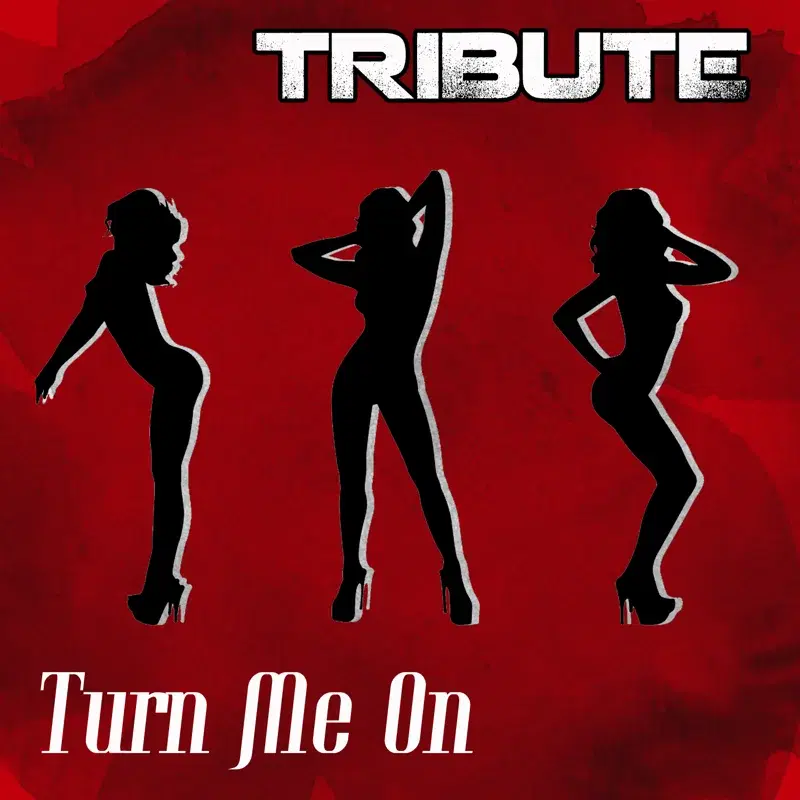 Turn Me On (David Guetta feat. Nicki Minaj Tribute) -  Single