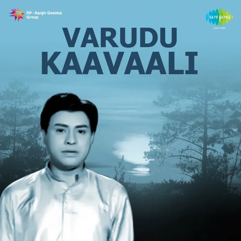 Varudu Kaavaali (Original Motion Picture Soundtrack)