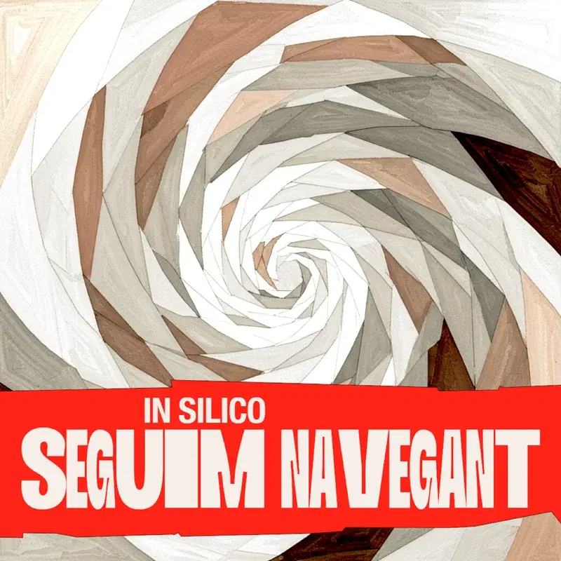 Seguim Navegant