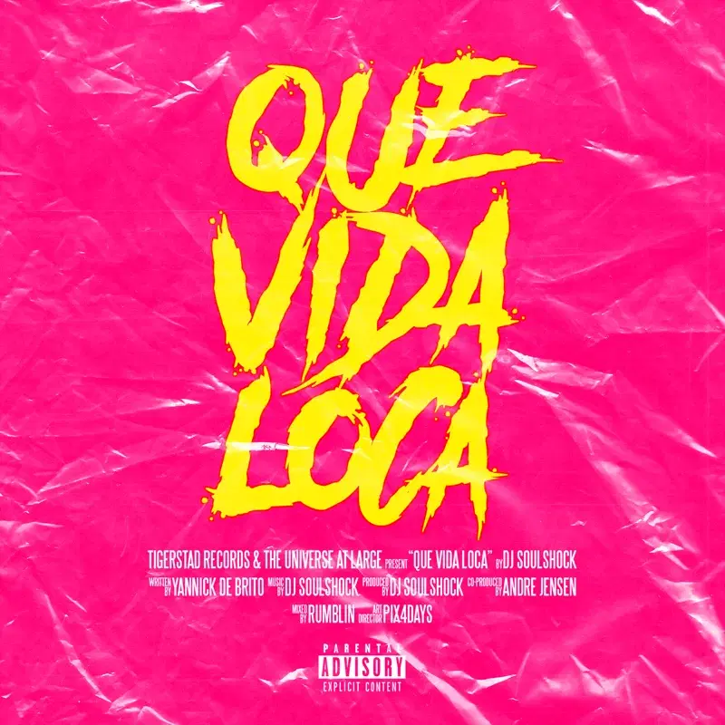 QUE VIDA LOCA