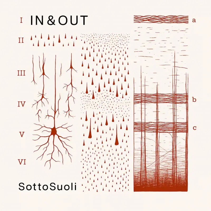 IN&OUT