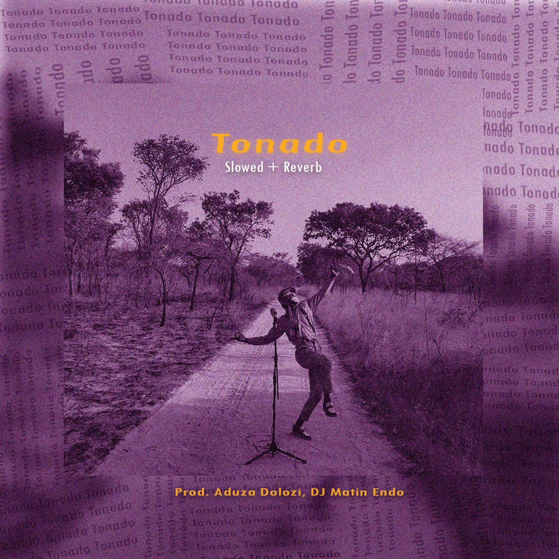 Tonado - Slowed & Reverb
