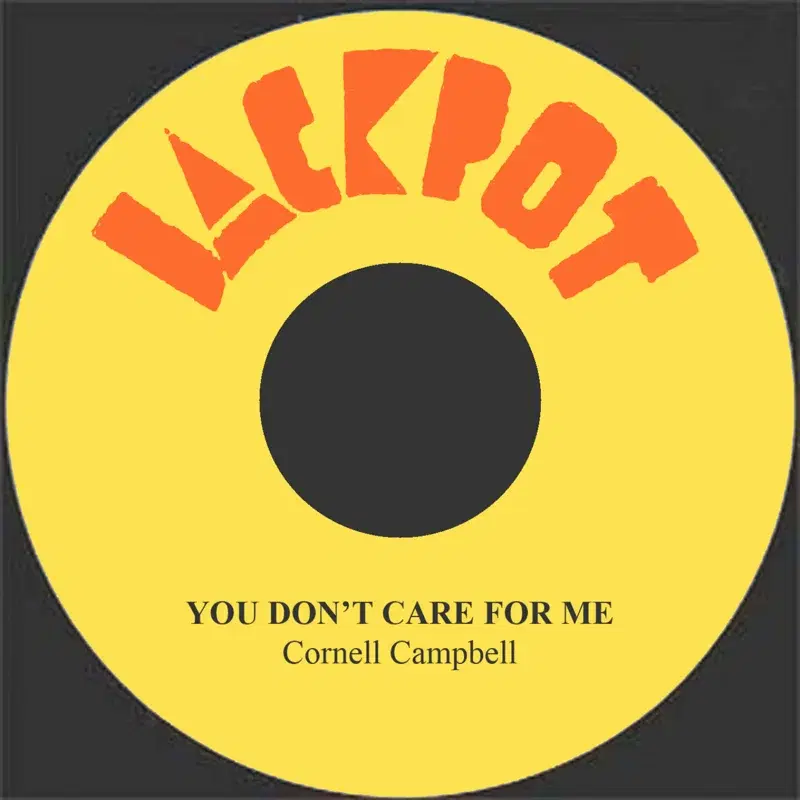 You Don't Care For Me