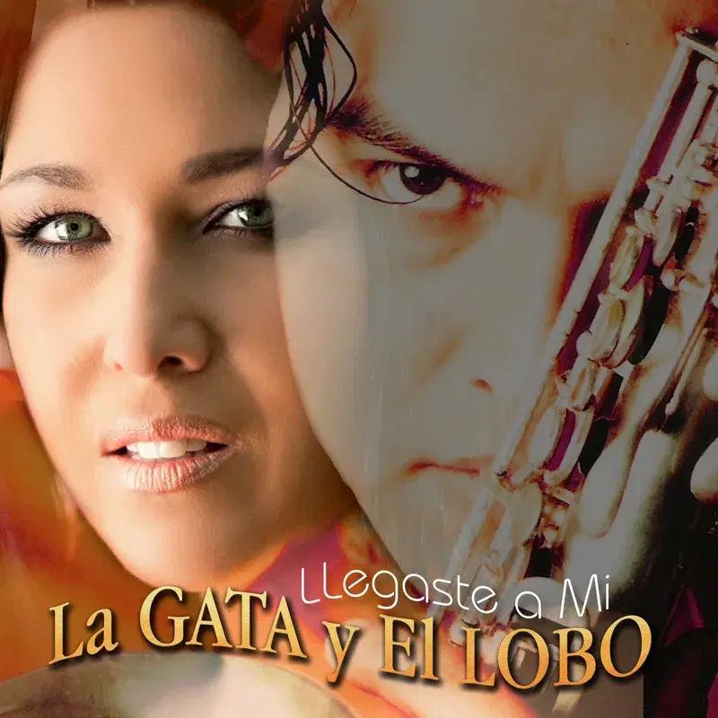 Llegaste a Mi