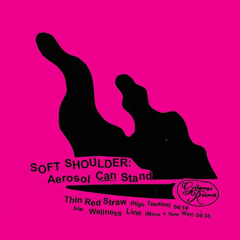 Aerosol Can Stand