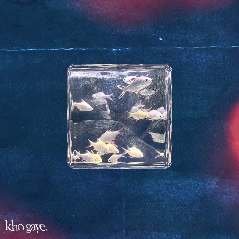 Kho Gaye