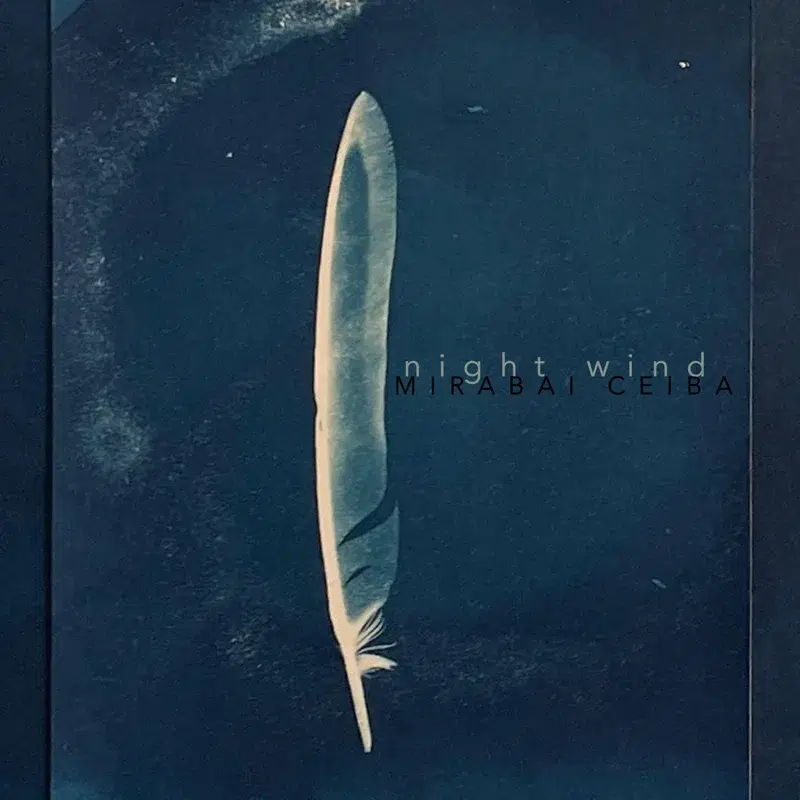 Night Wind