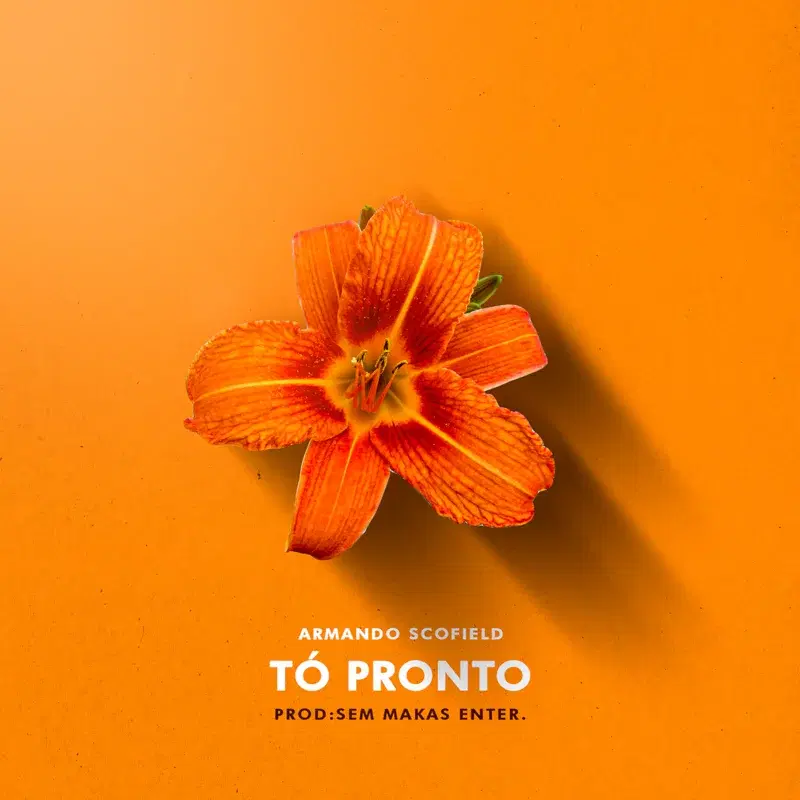 Tó Pronto