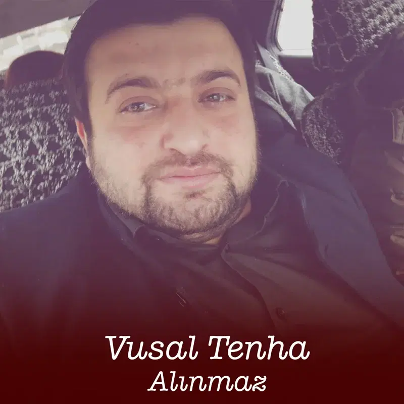 Alınmaz