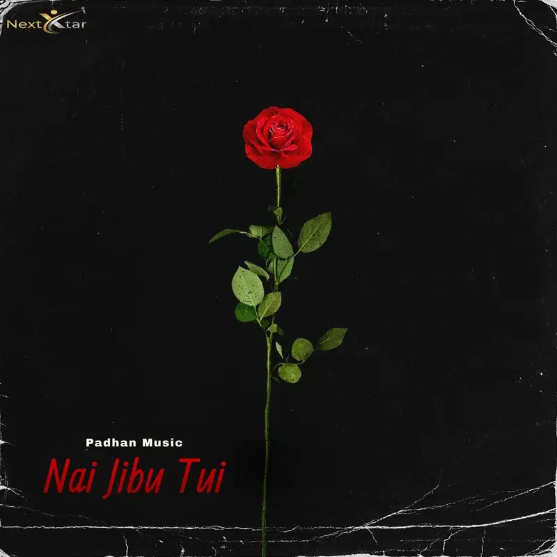 Nai Jibu Tui