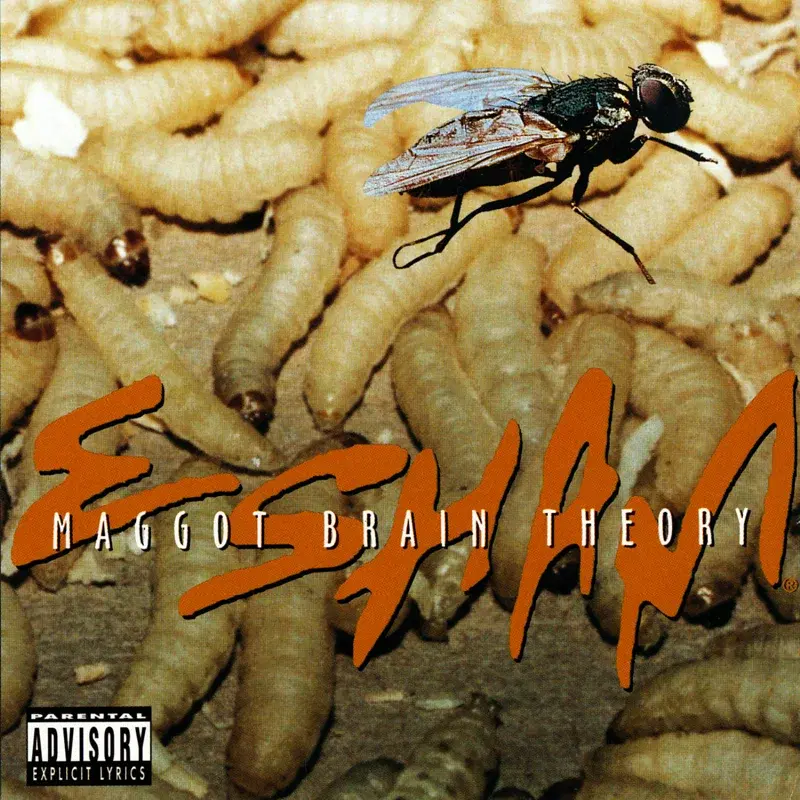 Maggot Brain Theory