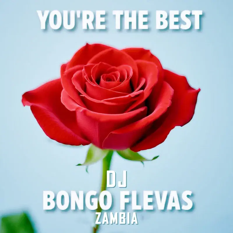 You're The Best