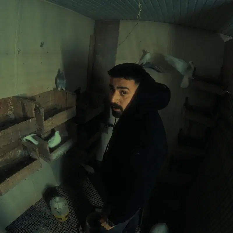 Planı Kurdum