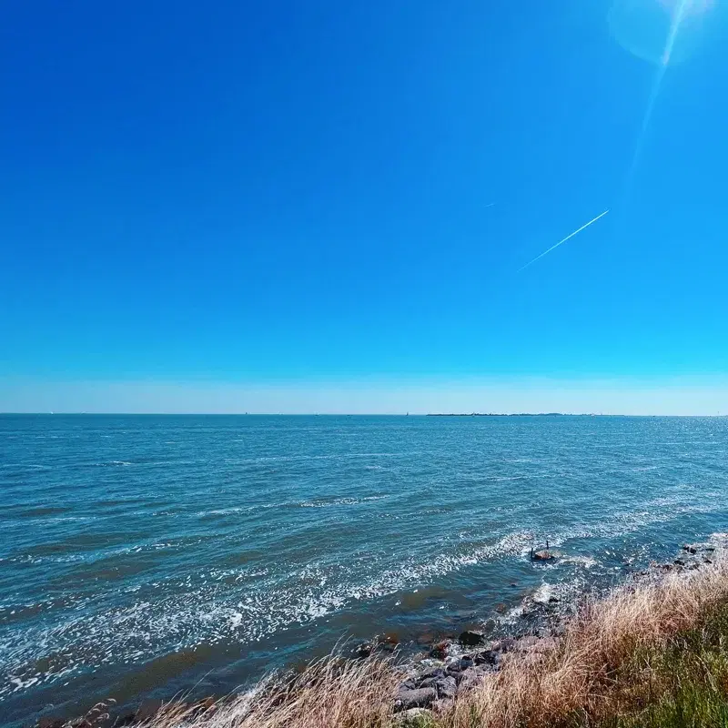 Seaside Morning