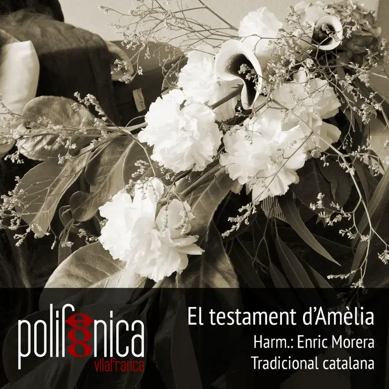 El testament d'Amèlia