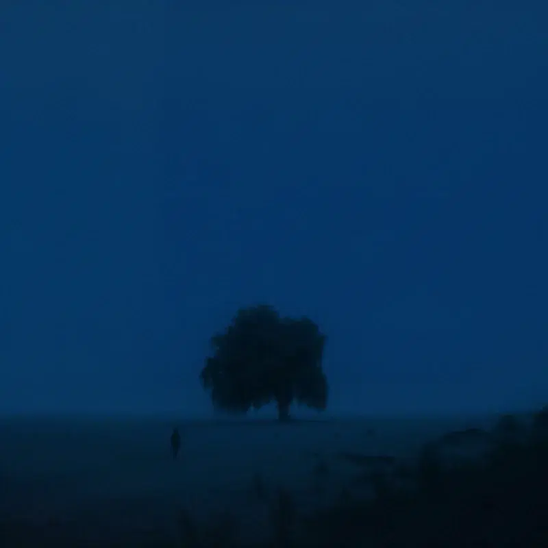 lonely whisper (remixes)