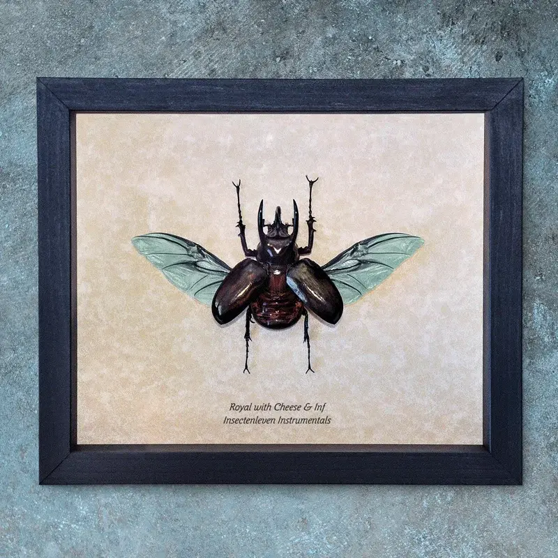 Insectenleven Instrumentals
