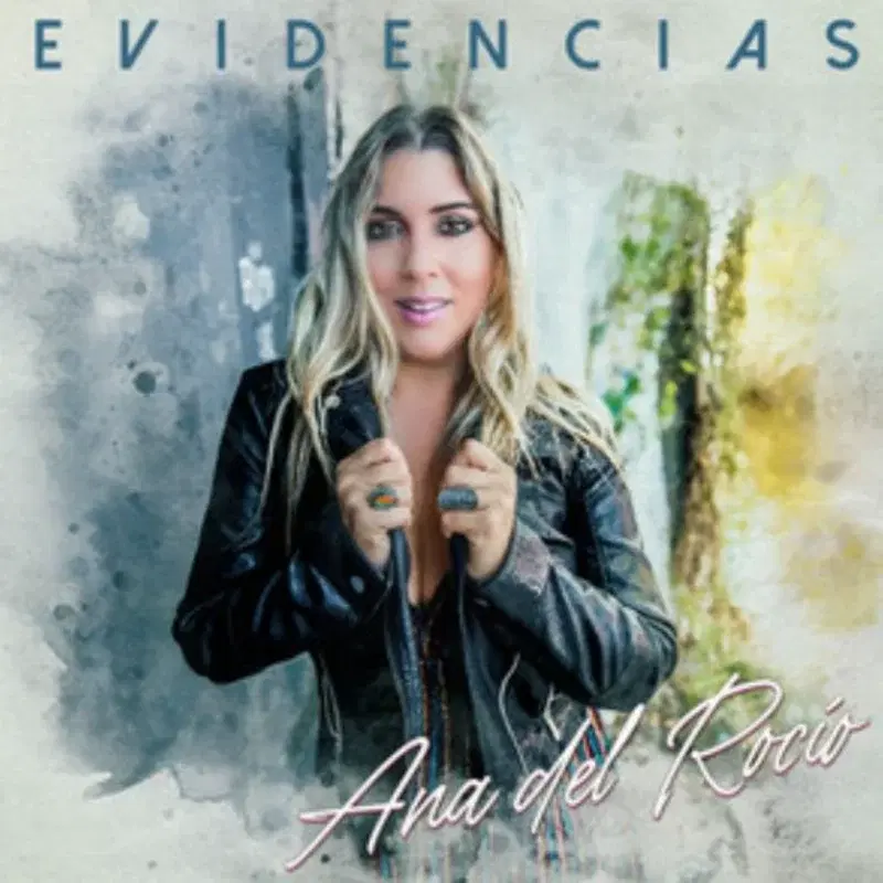 Evidencias