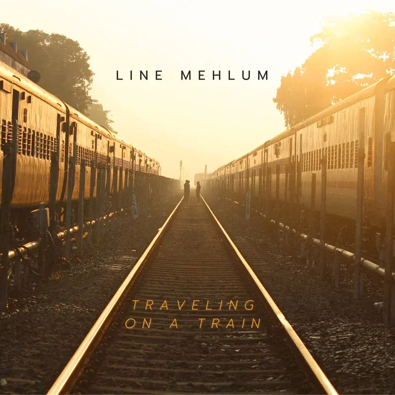 Travelling On a Train