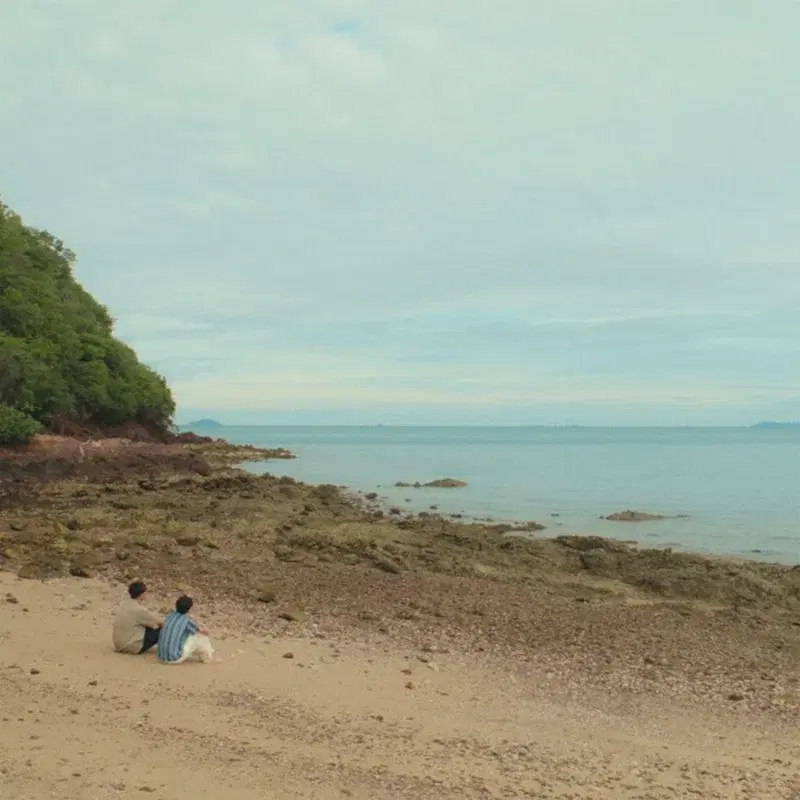 Still sea you