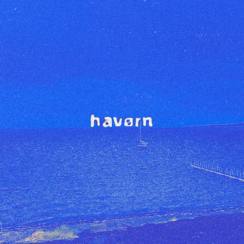 havørn