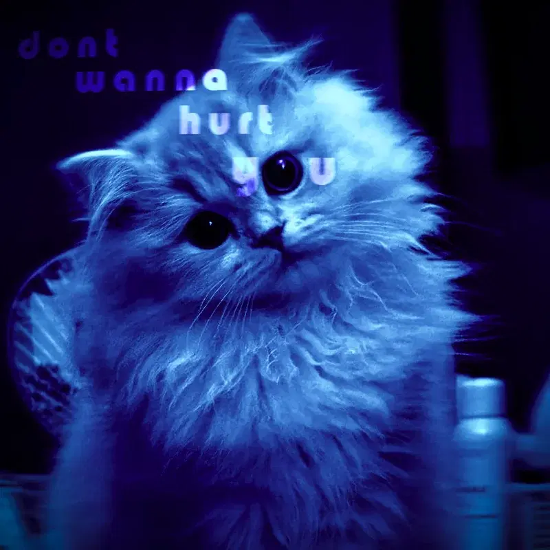 dont wanna hurt you