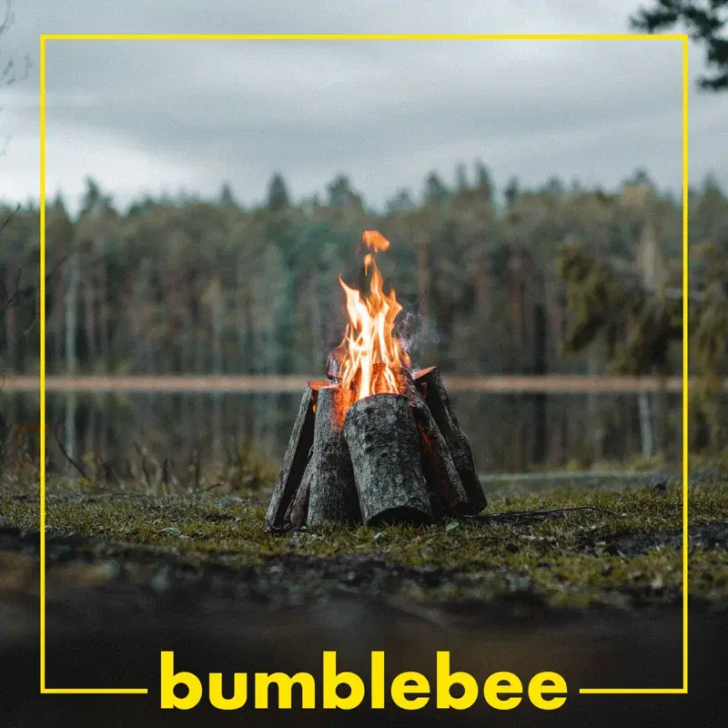 Bumblebee