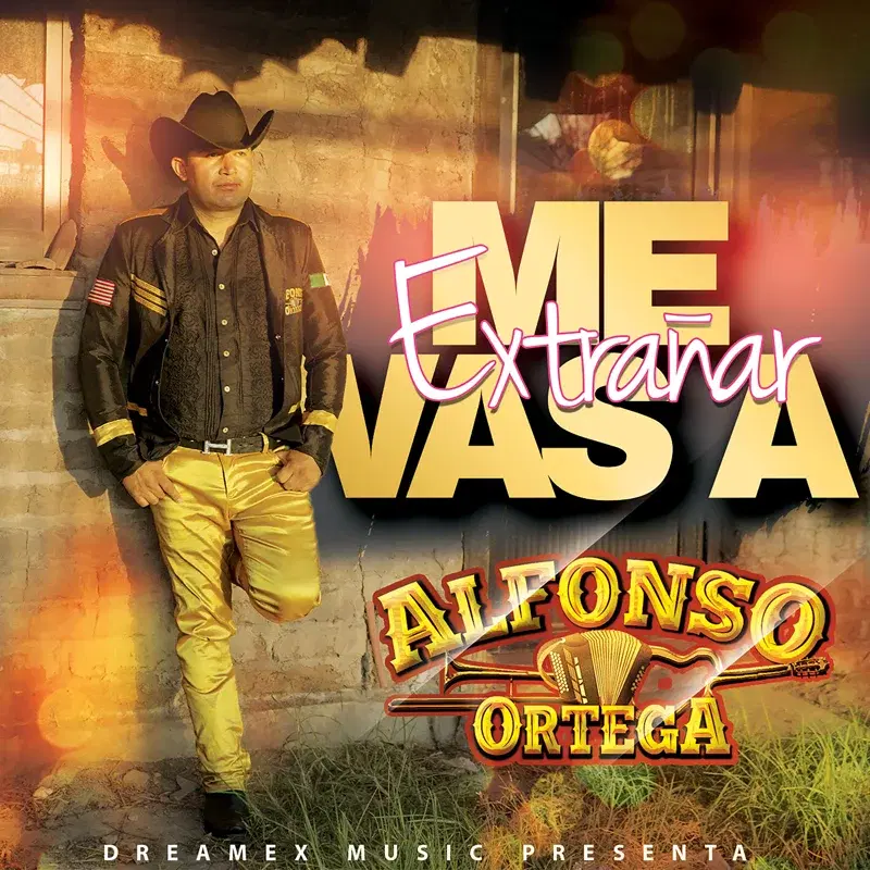 Me Vas a Extrañar