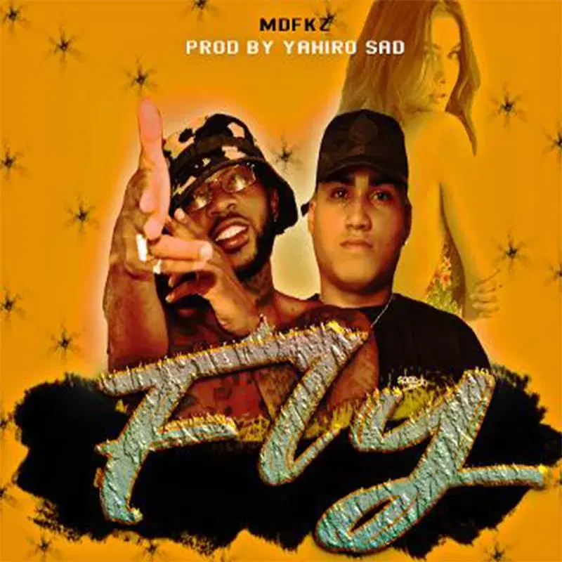 Fly