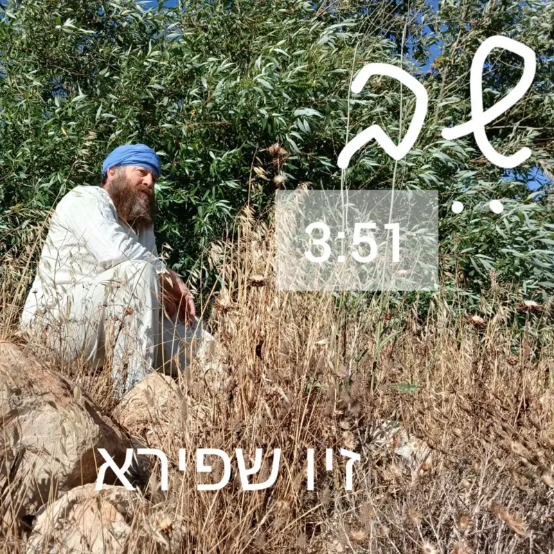 שֵׁב