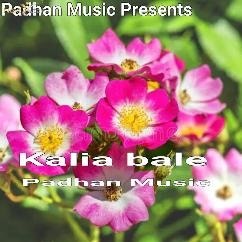 Kalia Bale