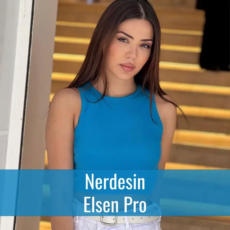 Nerdesin