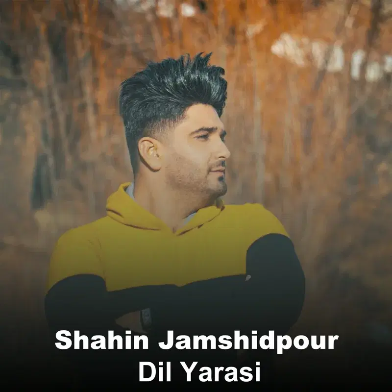 Dil Yarasi
