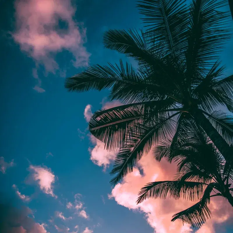 Vibe Out