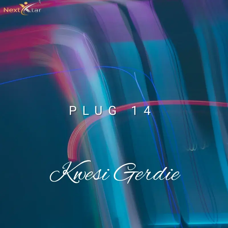Plug 14
