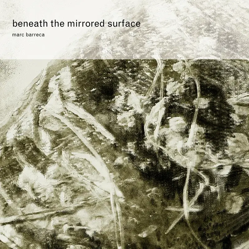 Beneath the Mirrored Surface