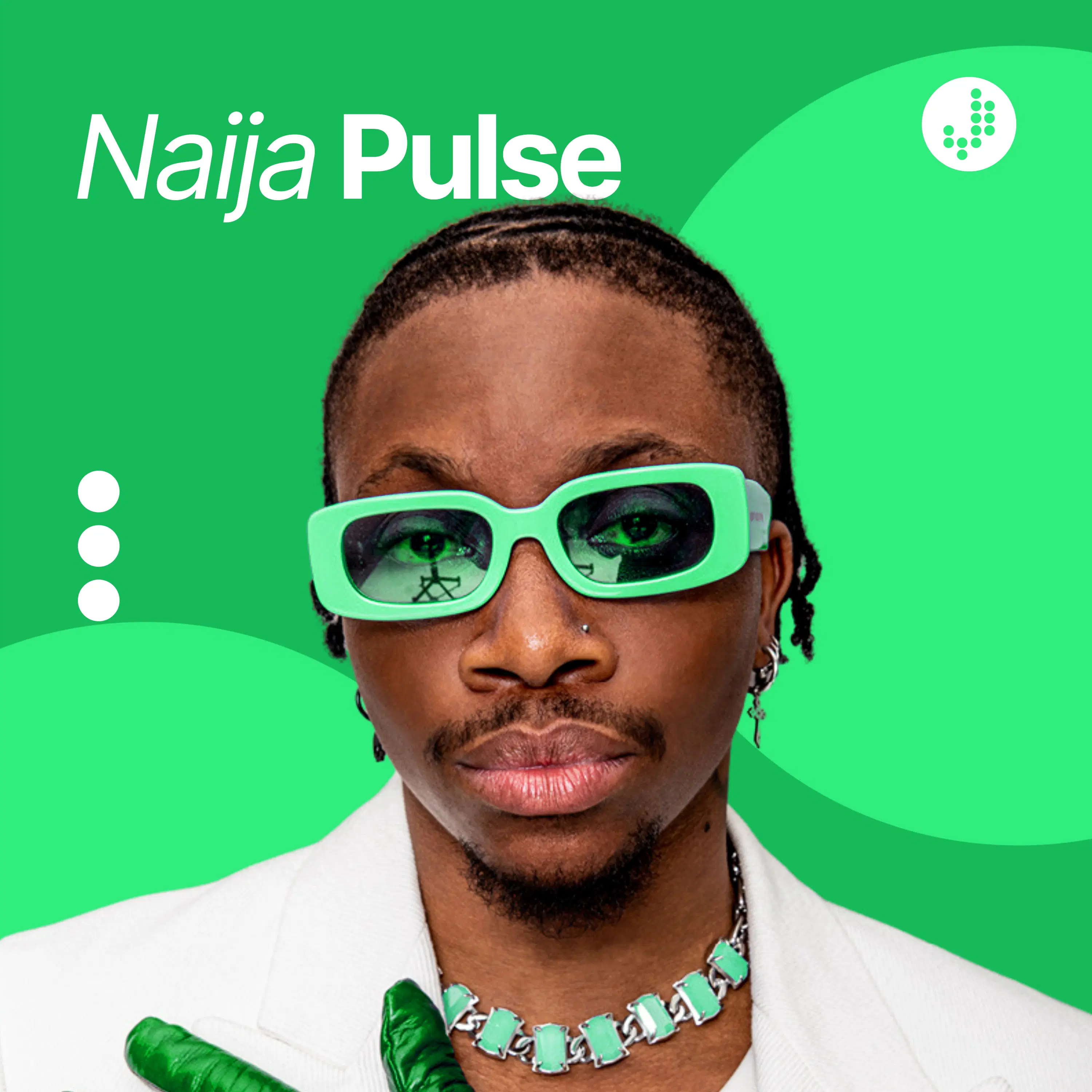 Naija Pulse