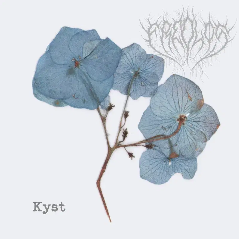 Kyst