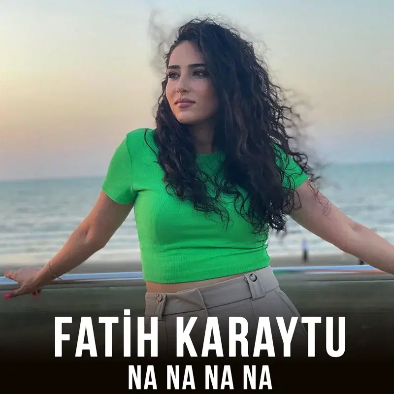 Na Na Na Na
