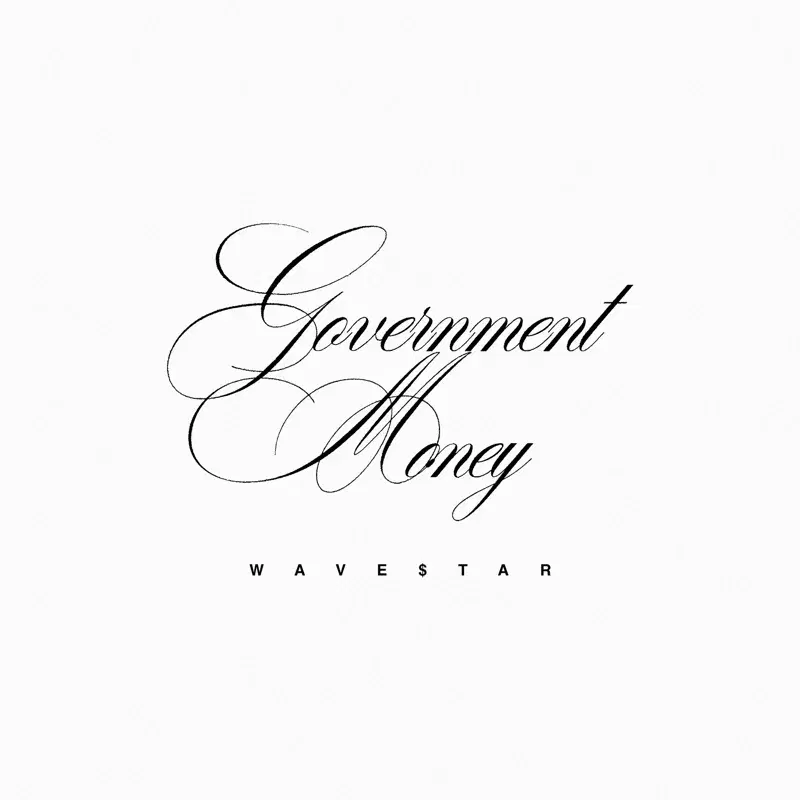 GOVERNMENT MONEY