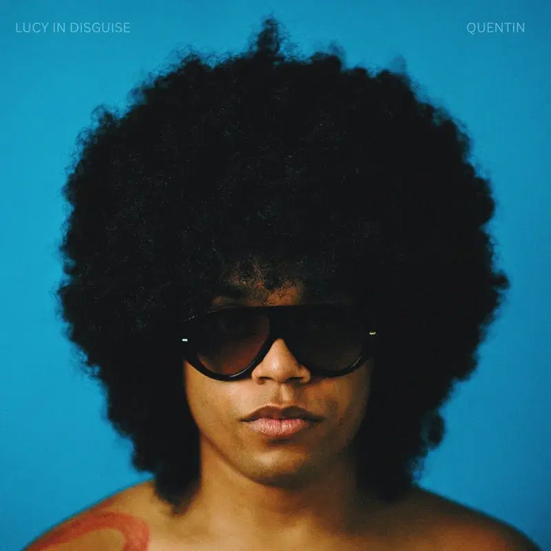 LUCY IN DISGUISE