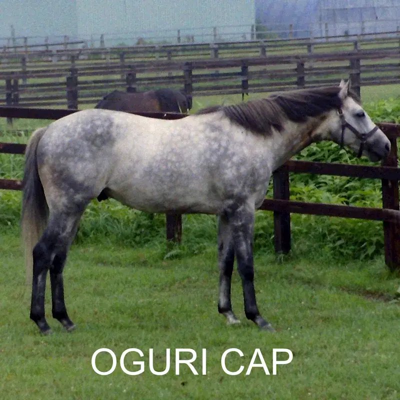 oguri cap