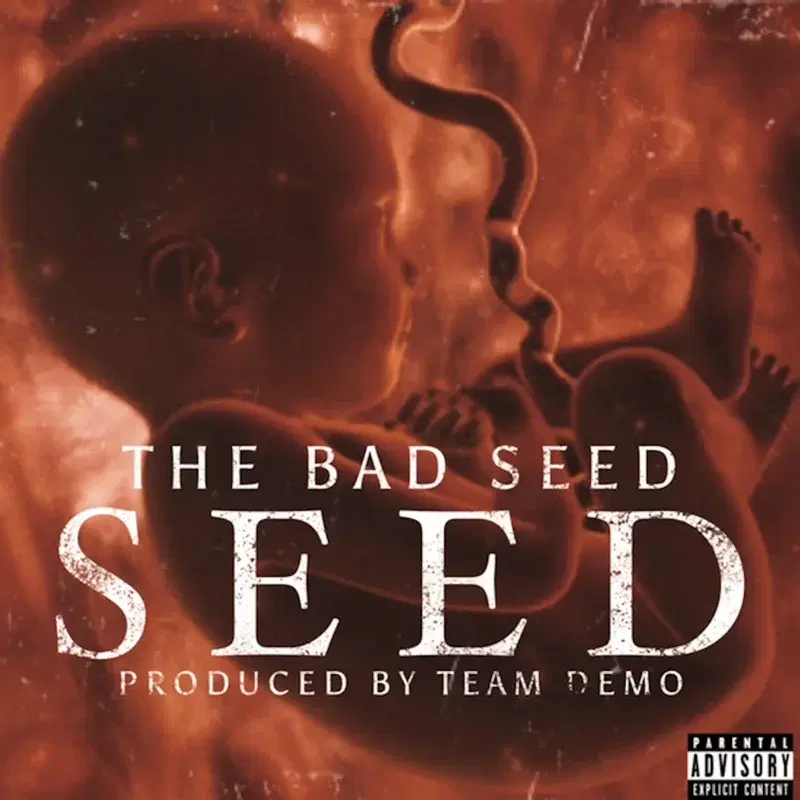 Seed