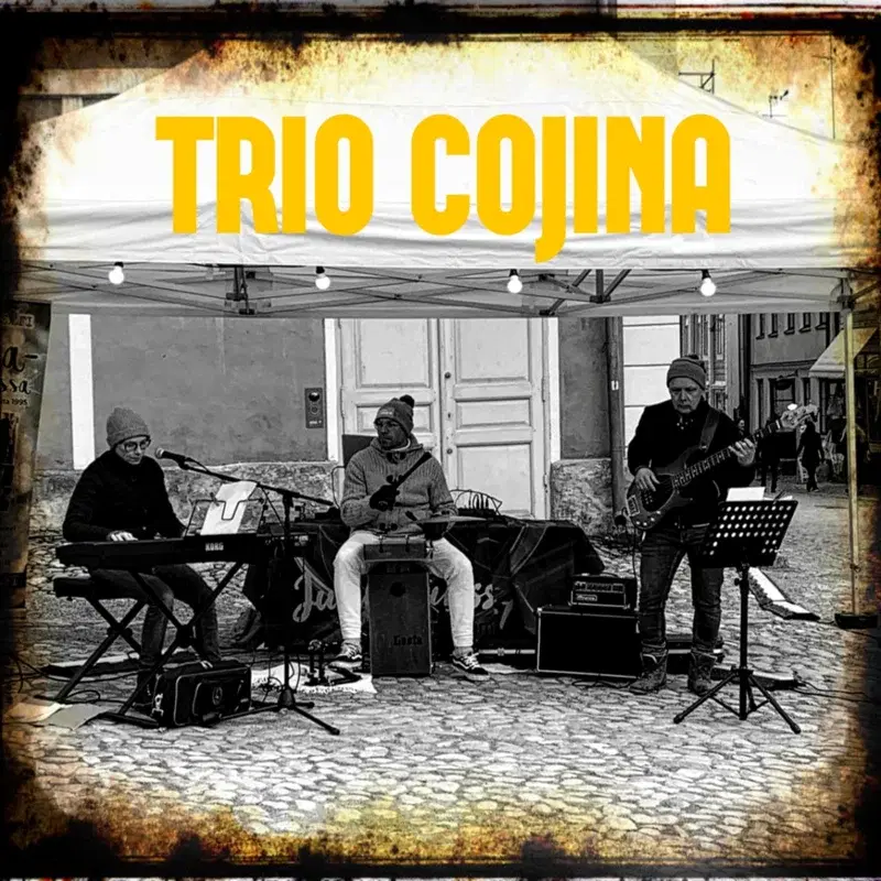 Trio Cojina