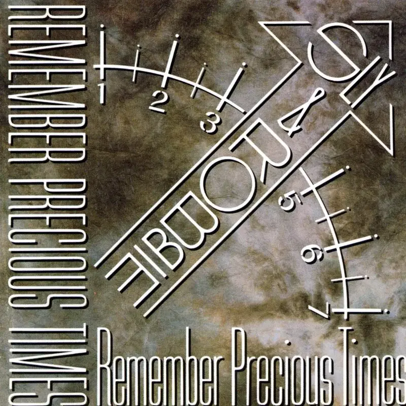 Remember Precious Times