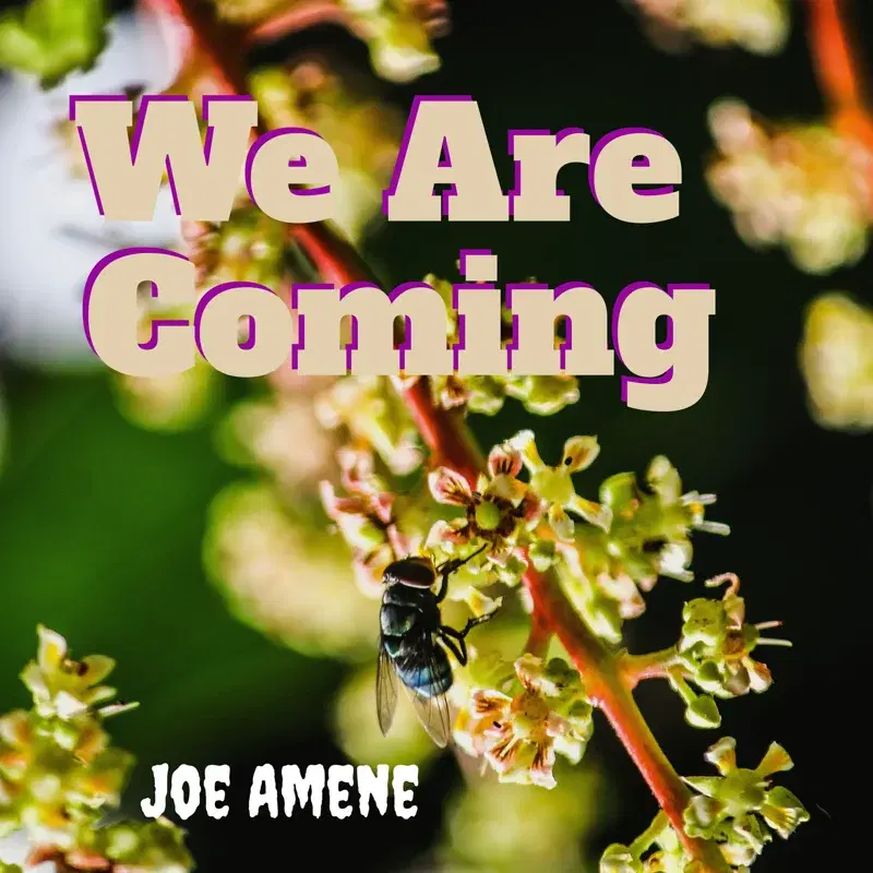 We Are Coming