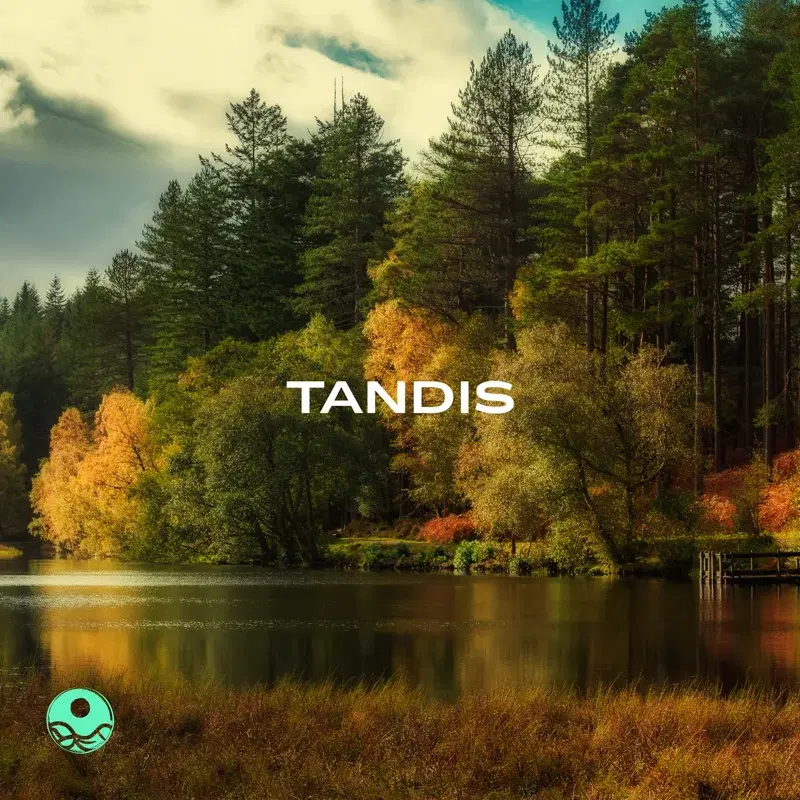 Tandis