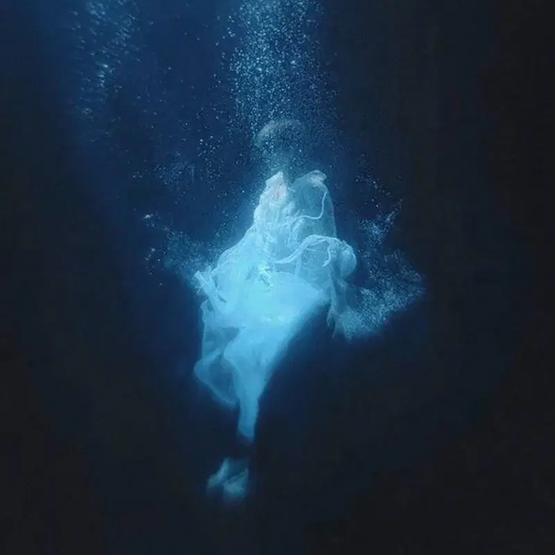 ocean