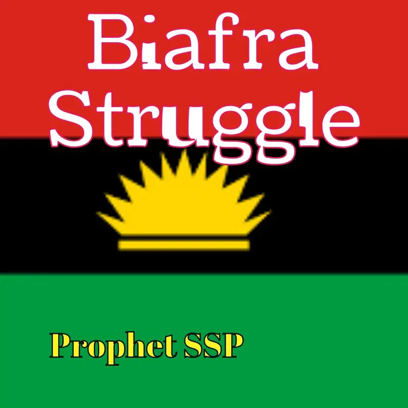 Biafra Struggle