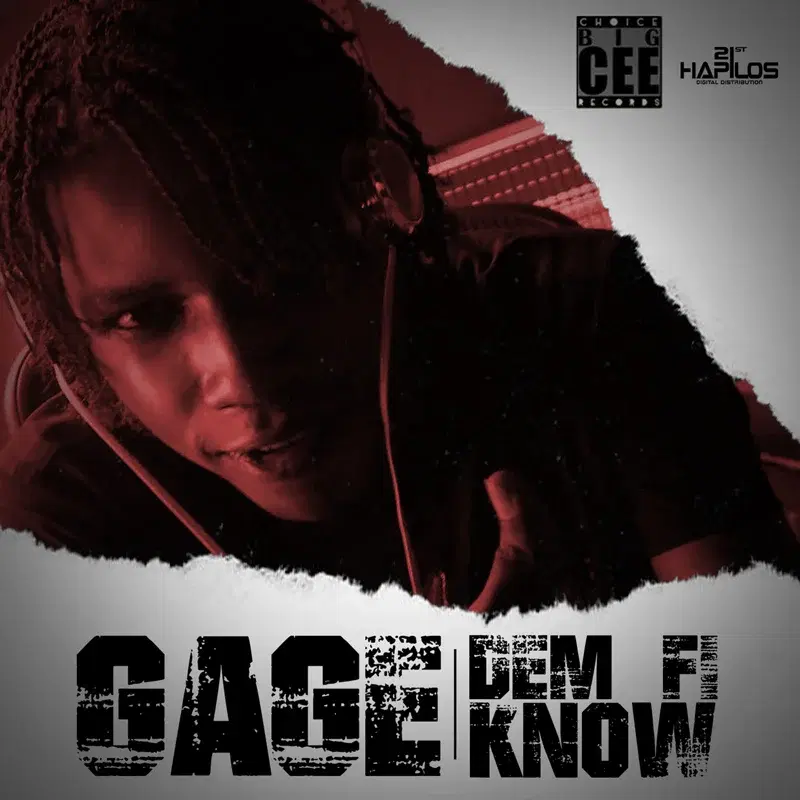 Dem Fi Know - Single